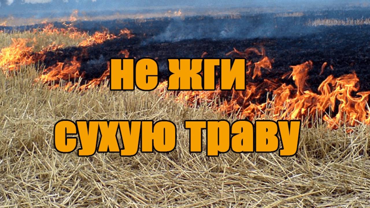 На территории Красноярского края объявлен режим «Повышенная готовность».