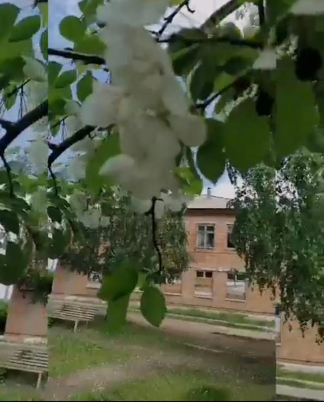 В Богучанах на территории пустующего больничного городка предотвращено хулиганство. В Богучанах на территории пустующего больничного городка предотвращено хулиганство.