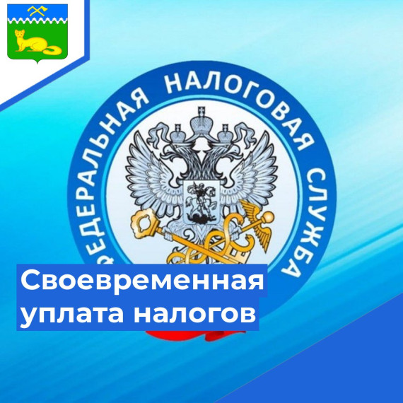 Поговорим о важности уплаты налогов. Поговорим о важности уплаты налогов.