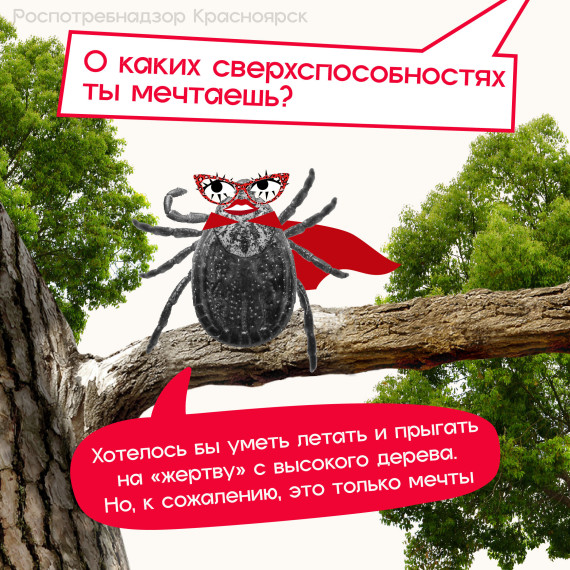 Роспотребнадзор провел интервью с клещом.